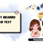 Hyy Meaning in Text