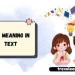 IDM Meaning in Text