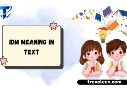IDM Meaning in Text