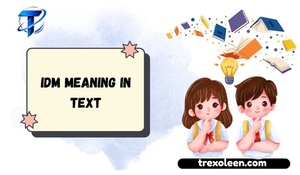 IDM Meaning in Text