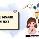 STFU Meaning in Text