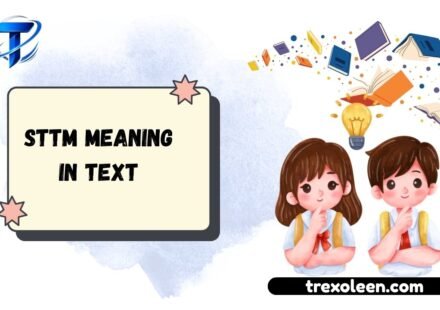STTM Meaning in Text