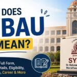 what does sybau mean